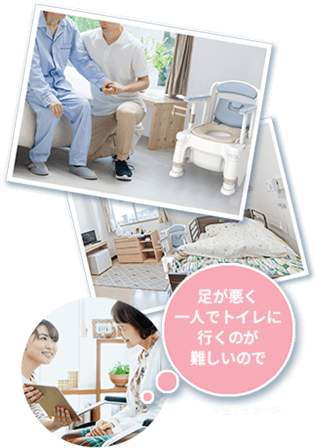 ポータブルトイレ FX-30 キャンペーン | 【安寿】の介護用品 | アロン化成