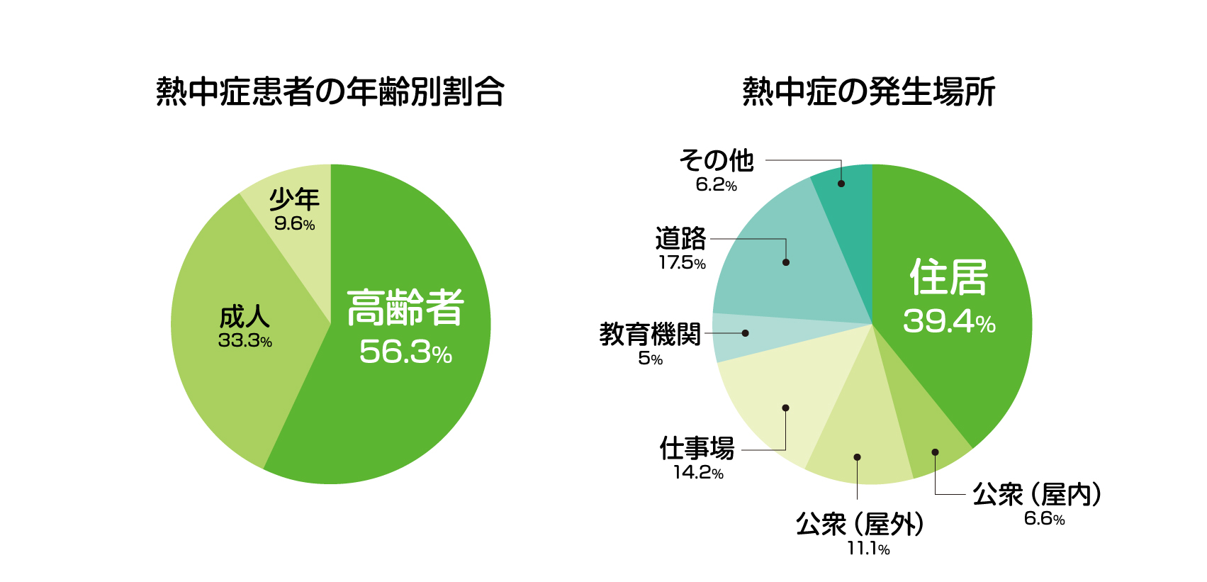 グラフ:熱中症患者の年齢別割合:少年9.6%、成人33.3%、高齢者56.3% グラフ:熱中症の発生場所:その他6.2%、道路17.5%、教育機関5%、仕事場14.2%、公衆(屋外)11.1%、公衆(屋内)6.6%、住居39.4%