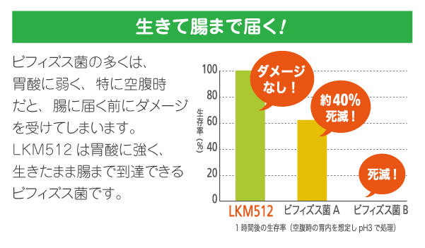 生きて腸まで届く! ビフィズス菌の多くは、胃酸に弱く、特に空腹時だと、腸に届く前にダメージを受けてしまいます。LKM512は胃酸に強く、生きたまま腸まで到達できるビフィズス菌です。