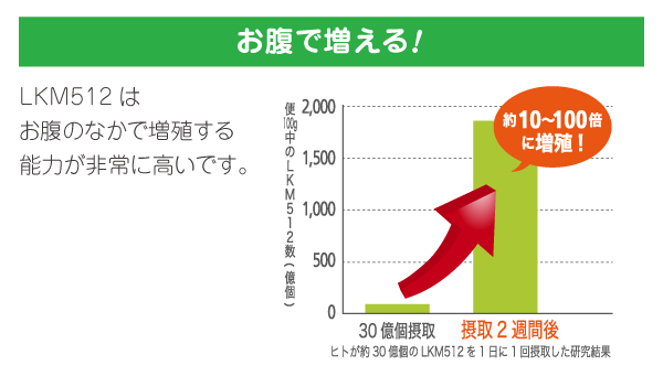 お腹で増える!LKM512はお腹のなかで増殖する能力が非常に高いです。